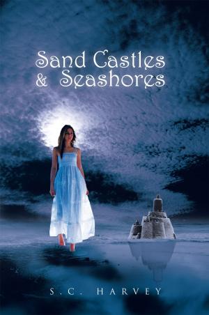 Book cover of Sand Castles & Seashores