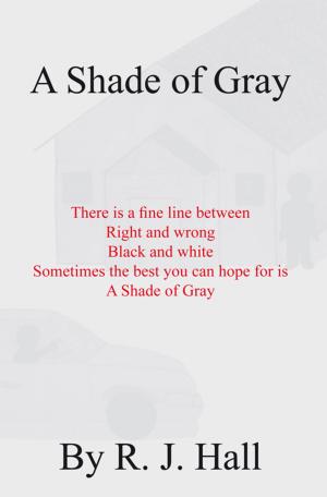 Cover of the book A Shade of Gray by Quinton Stingley