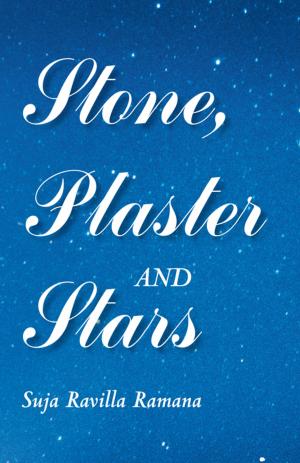 Cover of the book Stone, Plaster and Stars by G. Boshoff
