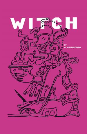 Cover of the book Witch by Dr. David Tsui