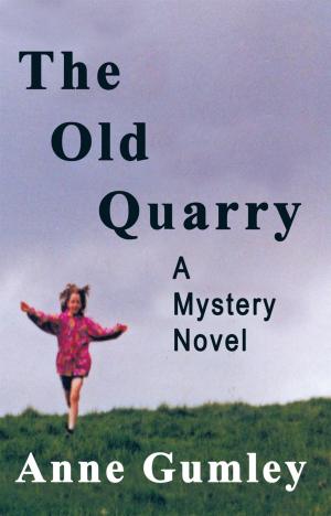 Cover of the book The Old Quarry by B.A. Schellenberg