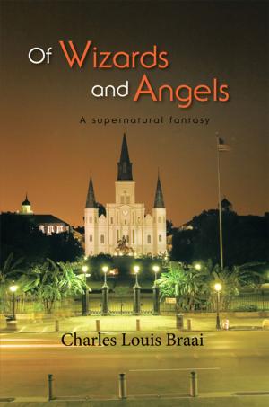 Cover of the book Of Wizards and Angels by Mark M. Quinn