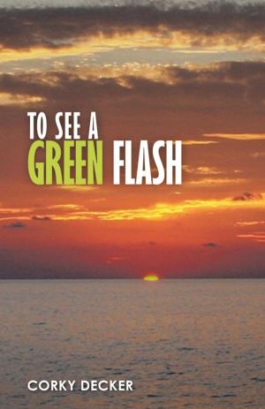 Book cover of To See a Green Flash