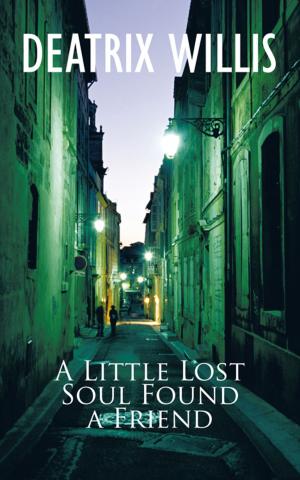 Cover of the book A Little Lost Soul Found a Friend by Barbara Rombough