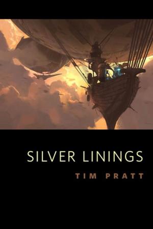 Cover of the book Silver Linings by Patti O'Shea