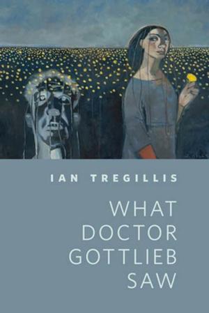 Cover of the book What Doctor Gottlieb Saw by David Drake
