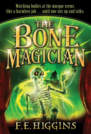 Cover of the book The Bone Magician by Alyssa Brandon
