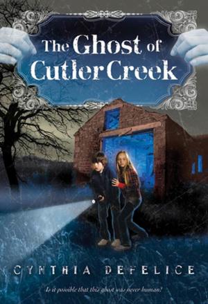 Cover of the book The Ghost of Cutler Creek by Michael Bornstein, Debbie Bornstein Holinstat