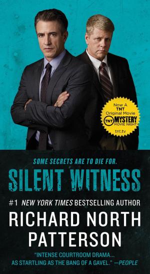 Cover of the book Silent Witness by Robert Baedeker, Dan Klein, John Reichmuth, James Reichmuth, Kasper Hauser Comedy Group