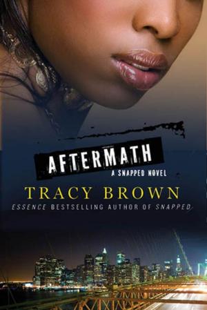 Cover of the book Aftermath by Martin Stephen