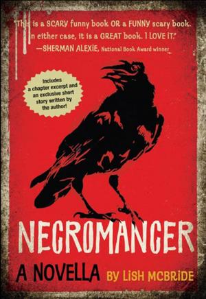Cover of the book Necromancer by Paul Fleischman