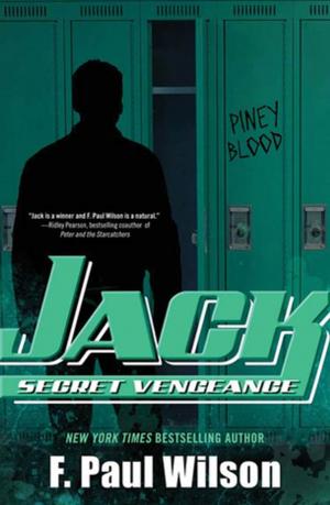 Cover of the book Jack: Secret Vengeance by Col. David Hunt, Christine Hunsinger