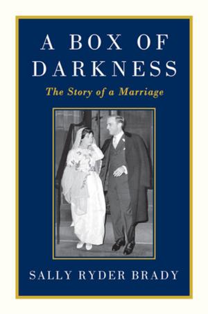 Cover of the book A Box of Darkness by Christine Warren