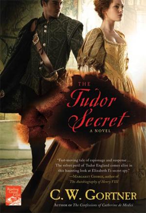Book cover of The Tudor Secret