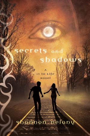 Cover of the book Secrets and Shadows by Kerry Allen