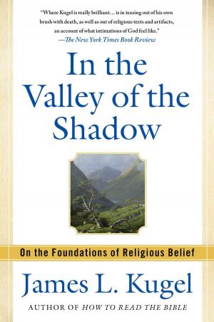 bigCover of the book In the Valley of the Shadow by 