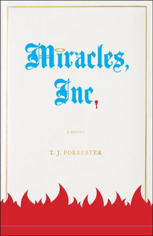 Cover of the book Miracles, Inc. by Sally Mott Freeman