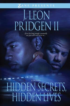 Cover of Hidden Secrets, Hidden Lives