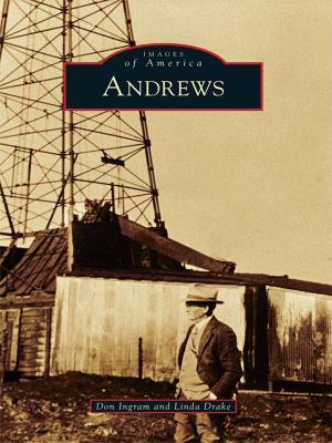 Cover of the book Andrews by Joe Froehlich, Trish Froehlich, Willington Historical Society