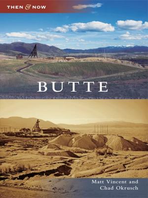Cover of the book Butte by Frank Jump