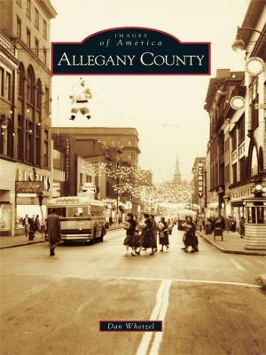 Cover of the book Allegany County by Alberto López Pulido & Rigoberto 