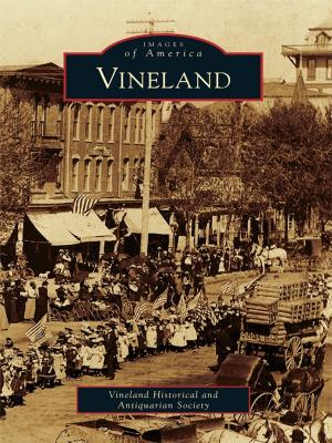 Cover of the book Vineland by Alex Moreno Areyan