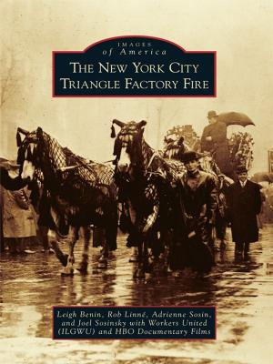 Cover of the book The New York City Triangle Factory Fire by Mark J. Roy