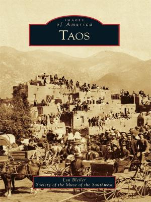 Cover of the book Taos by Jason L. Harpe, Matt Boles