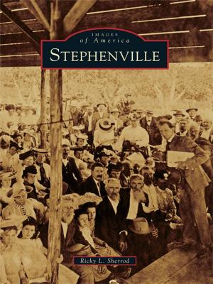 Cover of the book Stephenville by Bunny Gillespie, Dave Crimmen
