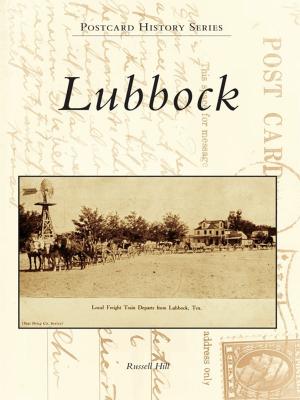 Cover of the book Lubbock by Sheila A. Conroy, Nancy S. Simpson