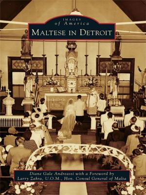 Cover of the book Maltese in Detroit by Jason D. Bricker, Judith M. Richie