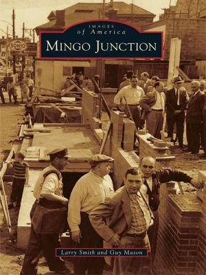 Book cover of Mingo Junction