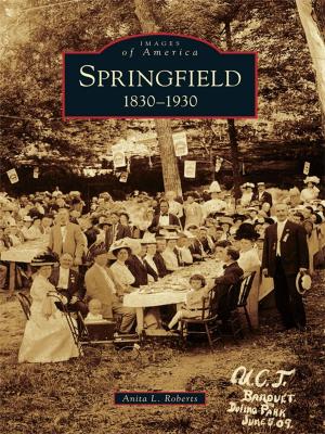 Cover of the book Springfield by Sherman Carmichael