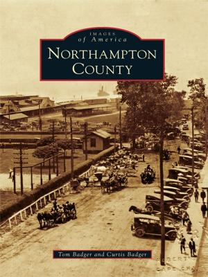Cover of the book Northampton County by Michael Leavy