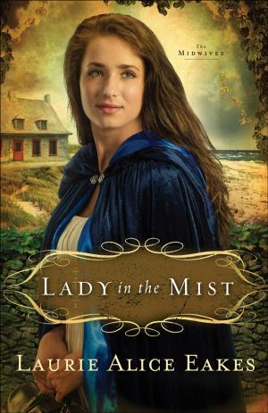 Cover of the book Lady in the Mist (The Midwives Book #1) by Anne Brookstone