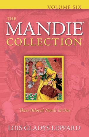Cover of the book Mandie Collection, The : Volume 6 by Irene Hannon