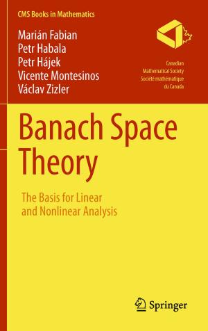 Cover of the book Banach Space Theory by Alexander Plakhov