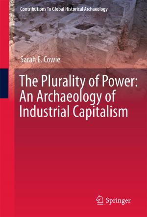 Cover of the book The Plurality of Power by Albert R. Conrad