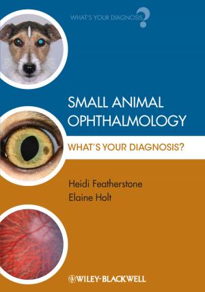 Cover of the book Small Animal Ophthalmology by Duncan J. Wood