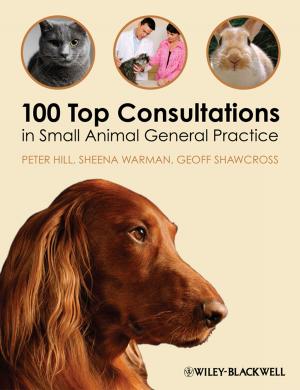 Cover of the book 100 Top Consultations in Small Animal General Practice by Patrick M. Lencioni