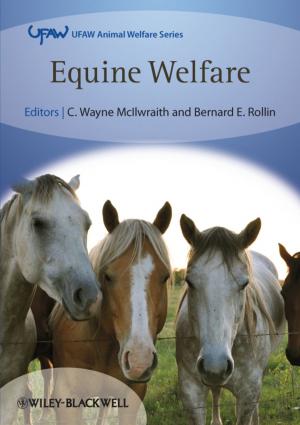 Cover of the book Equine Welfare by Richard Reed, Sara J. Wilkinson