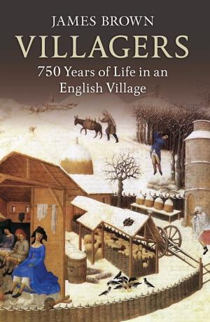 Cover of the book Villagers by Birgit van de Wijer