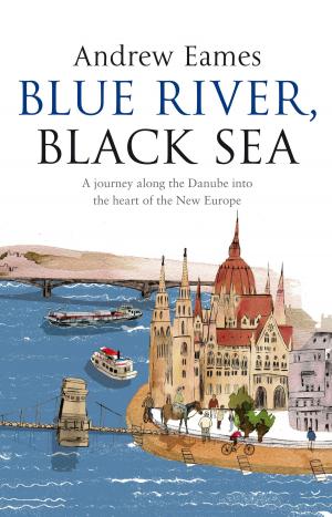 Cover of the book Blue River, Black Sea by Sue Bailey, Mike Shooter