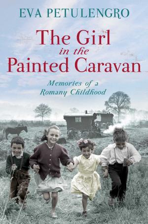 Book cover of The Girl in the Painted Caravan