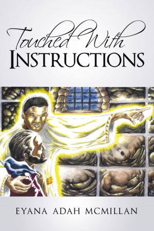 Cover of the book Touched with Instructions by David Siefert