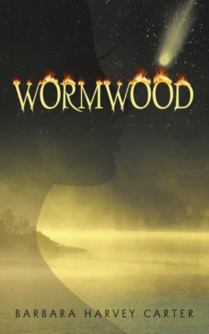 Cover of the book Wormwood by Dr Bummy Ebofin