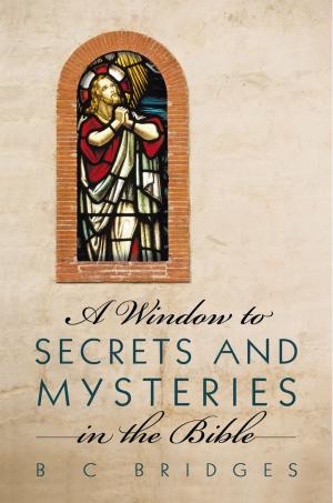 Cover of the book A Window to Secrets and Mysteries in the Bible by Lorie Williams