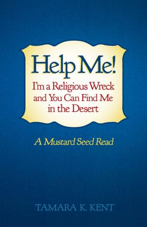 Book cover of Help Me! I’M a Religious Wreck and You Can Find Me in the Desert