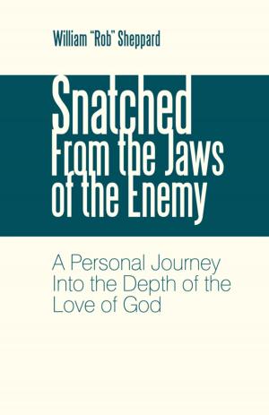 Cover of the book Snatched from the Jaws of the Enemy by Paul Gotthard