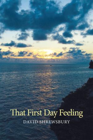 Cover of the book That First Day Feeling by Andrew Myers